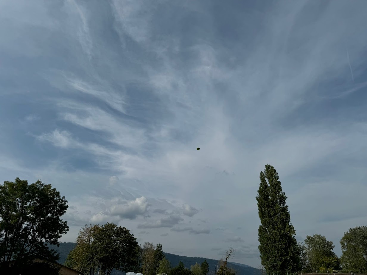 Laser Tontaubenschiessen – Bild 7