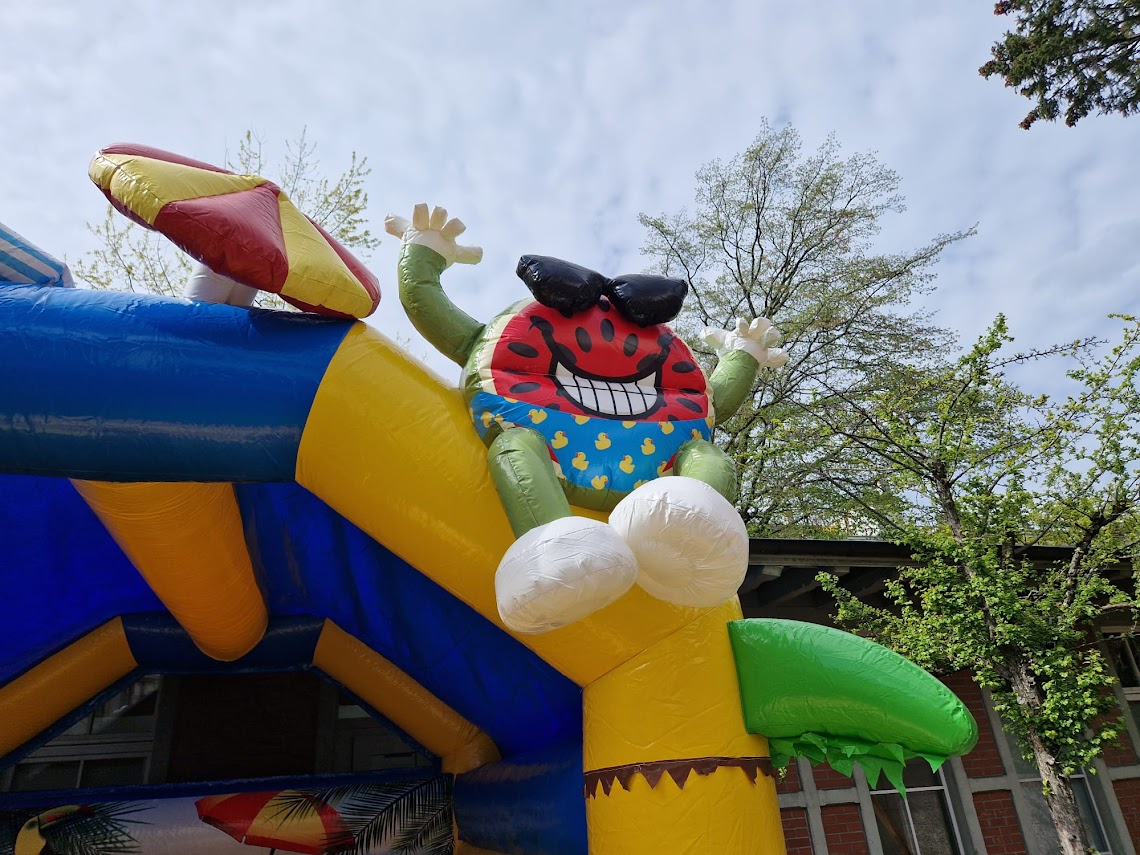 5 Meter Hüpfburg Summer – Bild 3
