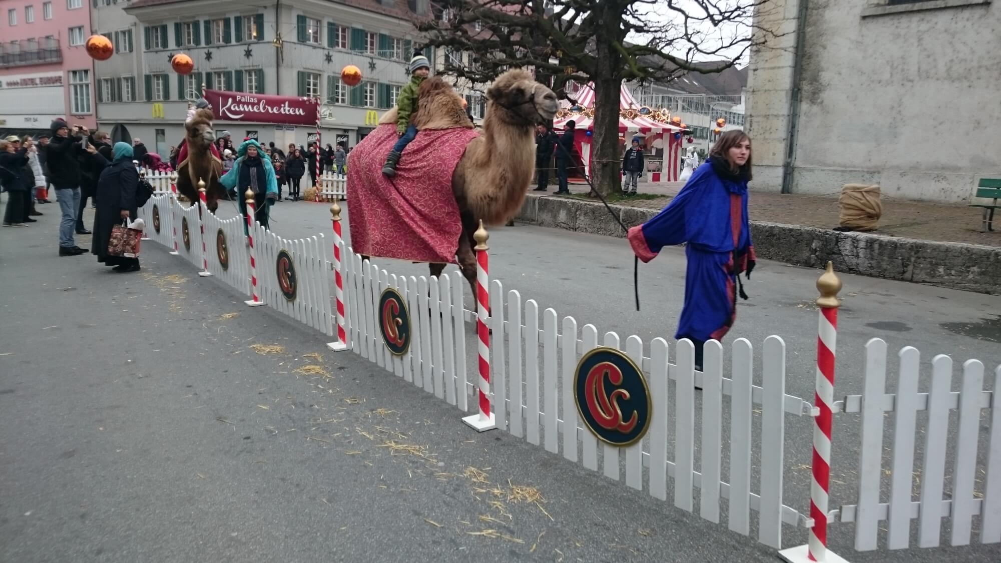 Zaunelement Zirkus – Bild 5