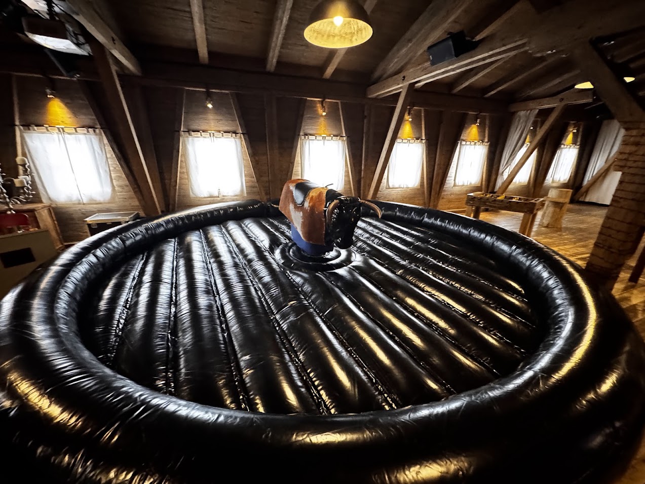 Bullriding Profi – Bild 8