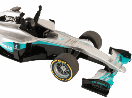 Formel 1 Simulator