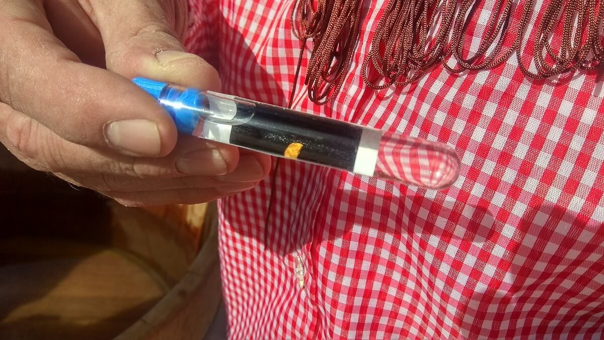 Goldwaschen mit echtem Gold – Bild 5