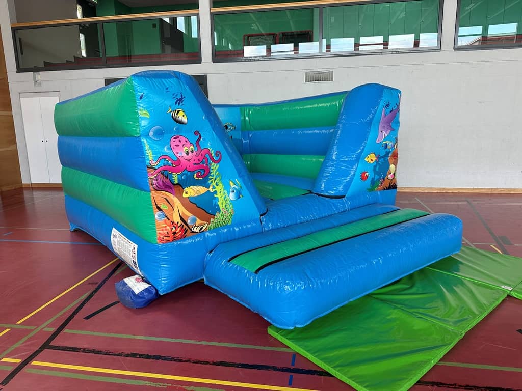 5 Meter Hüpfburg Ozean – Bild 2