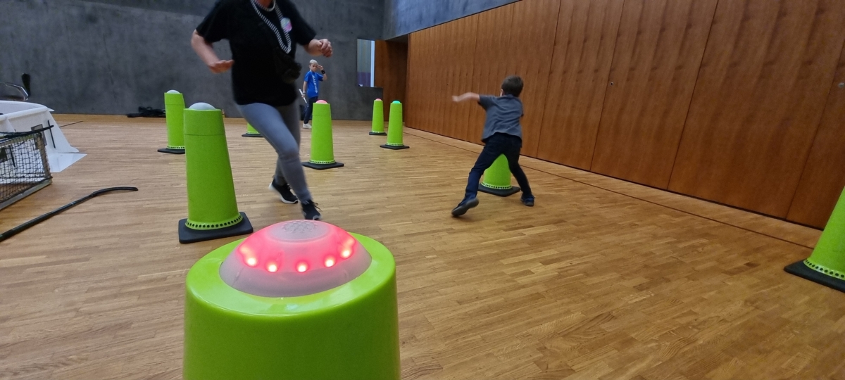 Interaktives Pylonenrennen – Bild 4