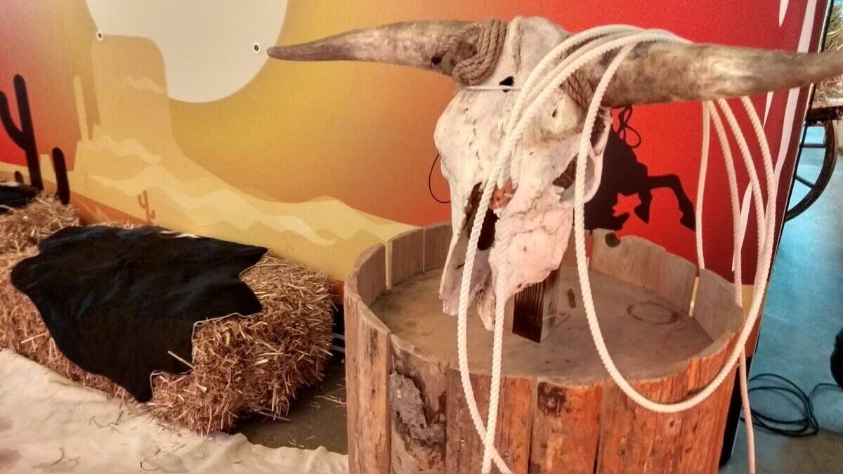 Lassowerfen – Bild 3