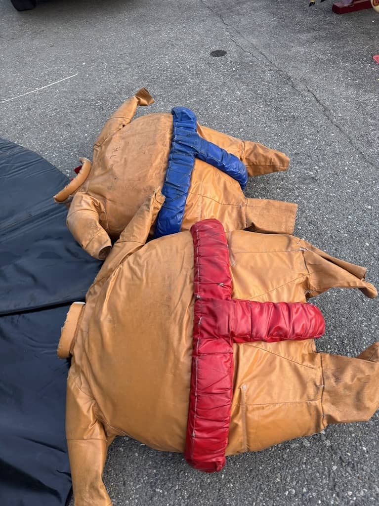 Sumo Ringer aufblasbar gebraucht – Bild 2