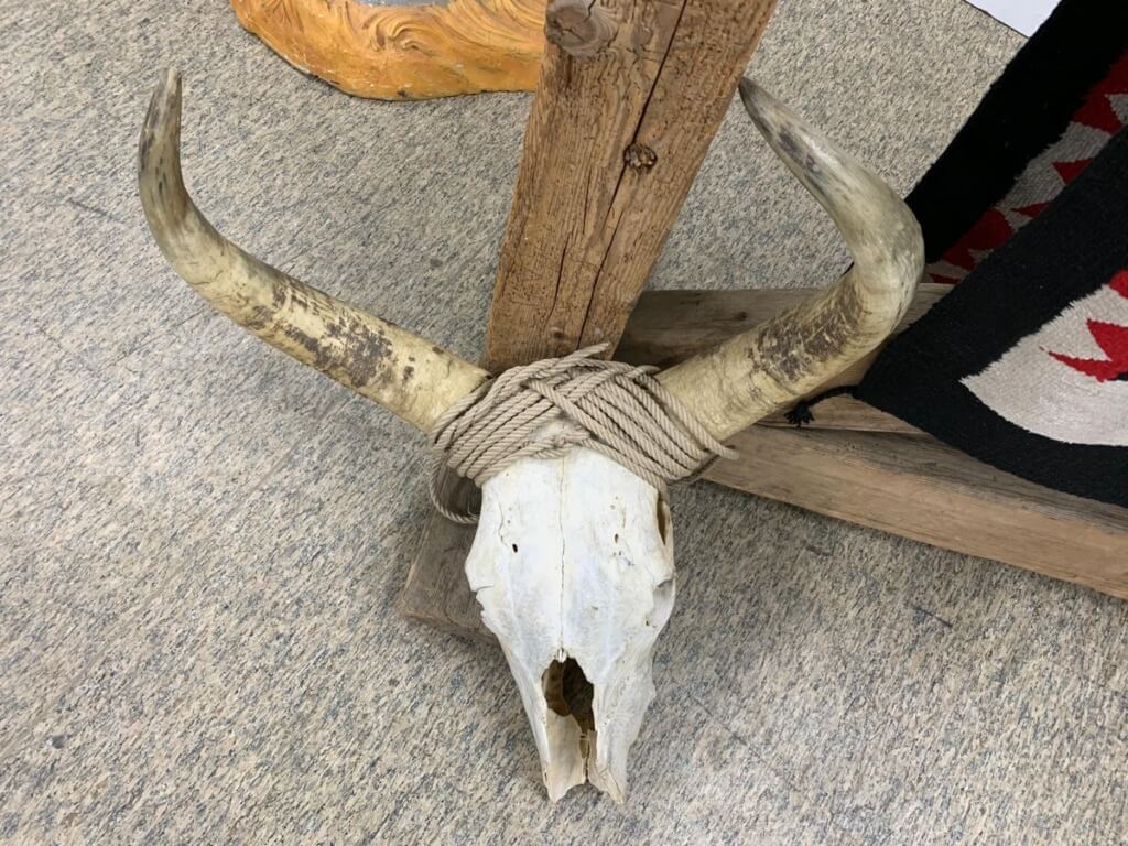 Echter Rinderschädel mit langem Horn und Seilbindung als rustikale Western-Deko.